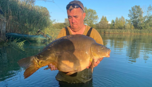 A carp from Golden Carp Lake, Sep 2022