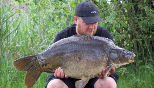 A carp from Golden Carp Lake, May 2022