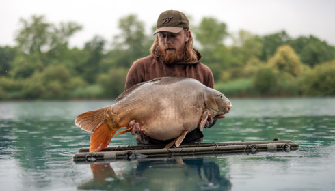 A carp from Golden Carp Lake, Jun 2023