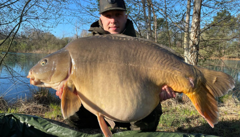 A carp from Golden Carp Lake, Apr 2023