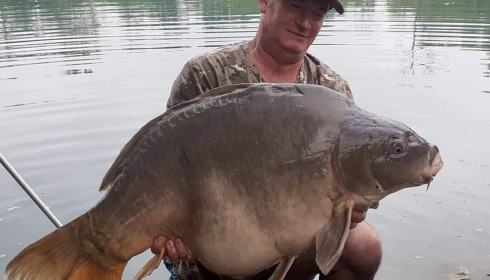 A carp from Golden Carp Lake, Aug 2022