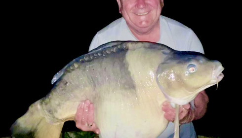 A carp from Golden Carp Lake, May 2022