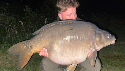 A carp from Golden Carp Lake, May 2022