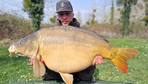A carp from Golden Carp Lake, Apr 2023