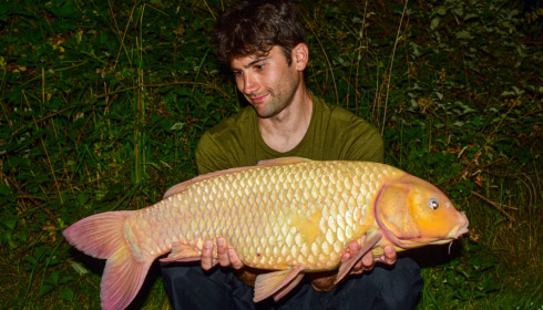 A carp from Golden Carp Lake, Jul 2022