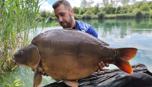 A carp from Golden Carp Lake, Aug 2022
