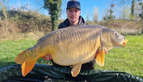 A carp from Golden Carp Lake, Apr 2023