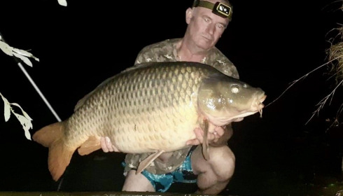 A carp from Golden Carp Lake, Aug 2022