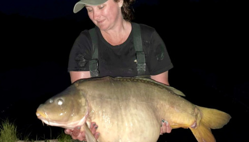 A carp from Golden Carp Lake, May 2022