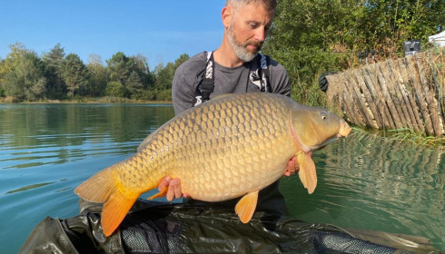 A carp from Golden Carp Lake, Sep 2022