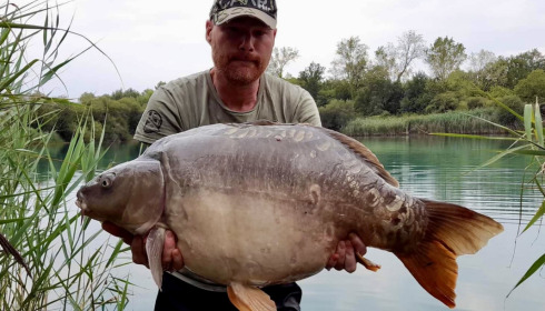 A carp from Golden Carp Lake, Aug 2022