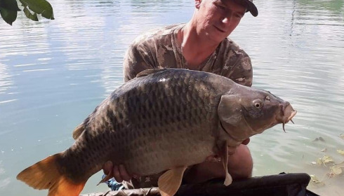 A carp from Golden Carp Lake, Aug 2022