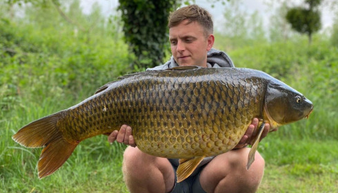 A carp from Golden Carp Lake, May 2022