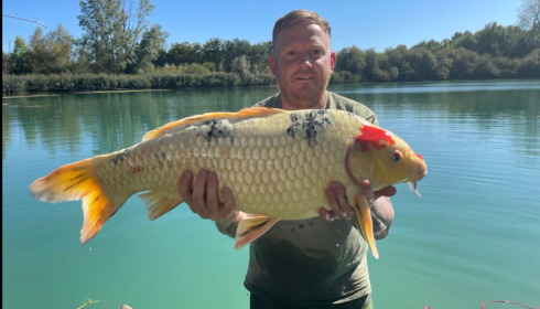 A carp from Golden Carp Lake, Sep 2022