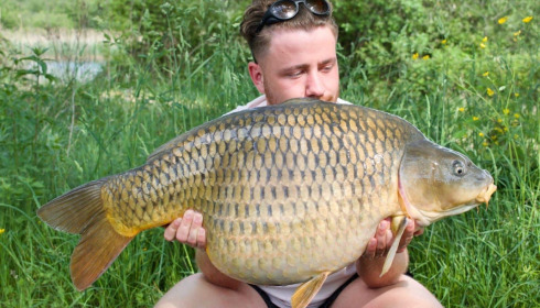 A carp from Golden Carp Lake, May 2022