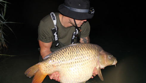 A carp from Golden Carp Lake, Sep 2022