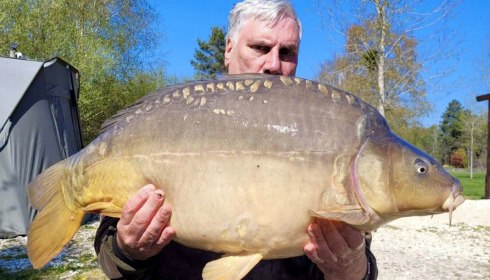A carp from Golden Carp Lake, Apr 2022