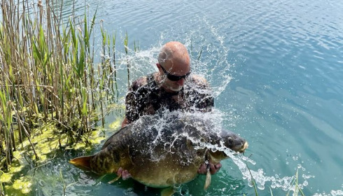 A carp from Golden Carp Lake, May 2022