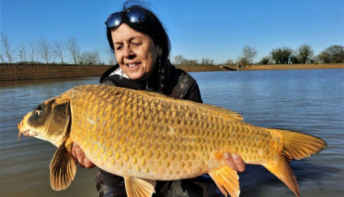 A 26 lb carp from Heart Lake, Nov 2022