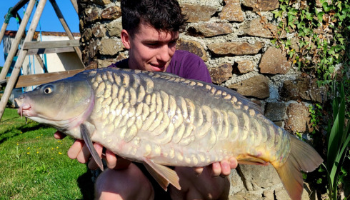 A carp from Heart Lake, Jul 2023