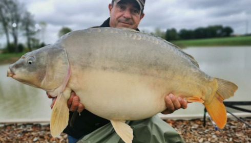 A 28 lb carp from Heart Lake, Nov 2022