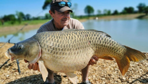 A 33 lb carp from Heart Lake, Nov 2022