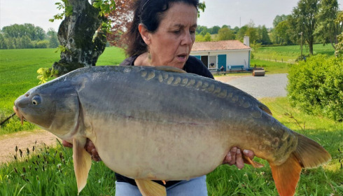 A 35 lb carp from Heart Lake, Nov 2022