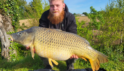 A 37 lb 4 oz carp from Heart Lake, May 2023