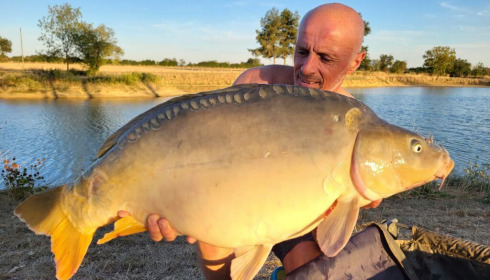 A 28 lb carp from Heart Lake, Nov 2022
