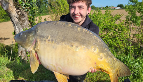 A 41 lb 8 oz carp from Heart Lake, May 2023