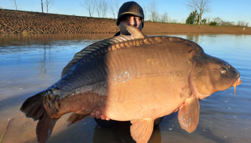 A 53 lb carp from Heart Lake, Dec 2022