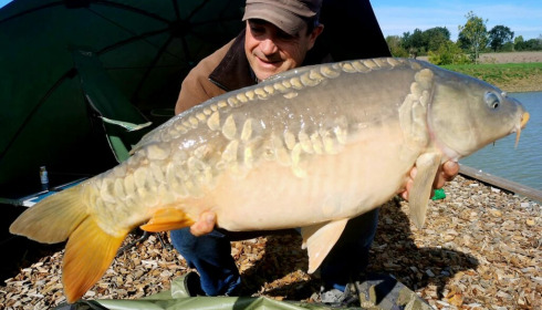A 28 lb carp from Heart Lake, Nov 2022