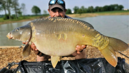 A 22 lb carp from Heart Lake, Nov 2022