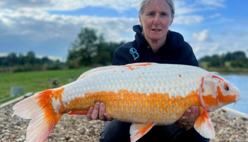 A carp from Heart Lake, Aug 2023
