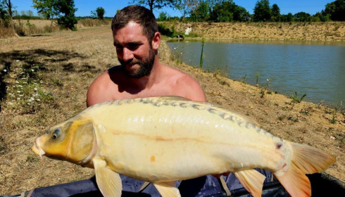 A 24 lb carp from Heart Lake, Nov 2022