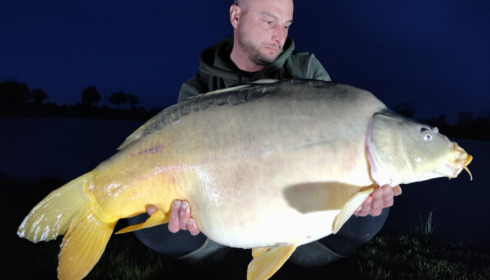 A 30 lb 8 oz carp from Heart Lake, Apr 2023