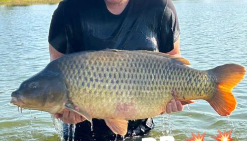 A carp from Heart Lake, Aug 2023