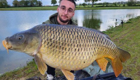 A 35 lb carp from Heart Lake, Apr 2023