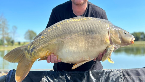 A carp from Heart Lake, Aug 2023