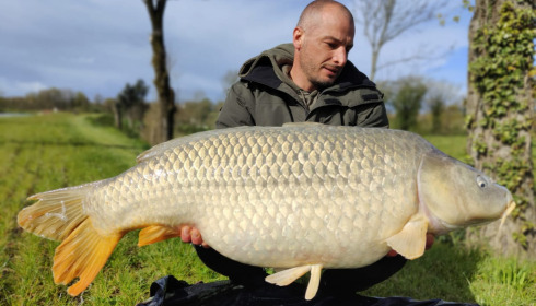 A 41 lb 8 oz carp from Heart Lake, Apr 2023