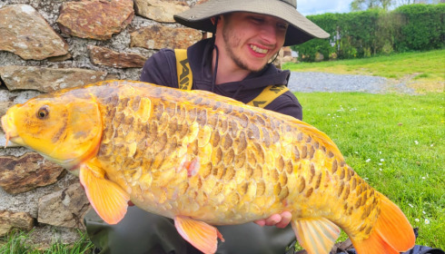 A carp from Heart Lake, May 2023