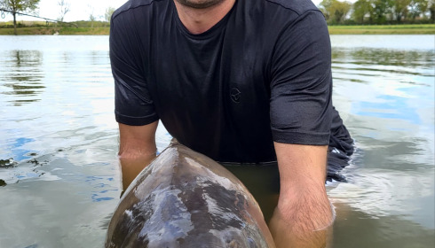 A carp from Heart Lake, Apr 2023