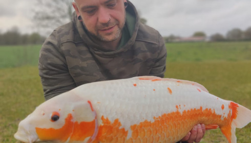 A carp from Heart Lake, Apr 2023