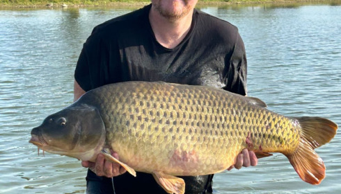 A carp from Heart Lake, Aug 2023