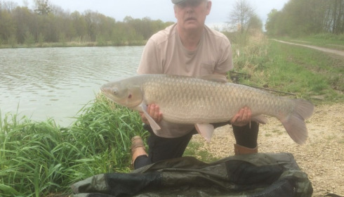 A 36 lb 12 oz grass carp from Jonchery 7, John Dunn, Apr 2016
