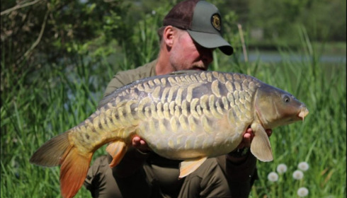 A carp from Jonchery 7, Apr 2019