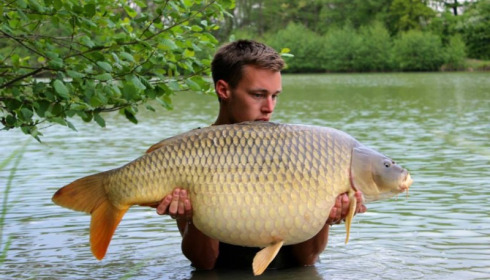 A carp from Jonchery 7, Apr 2014