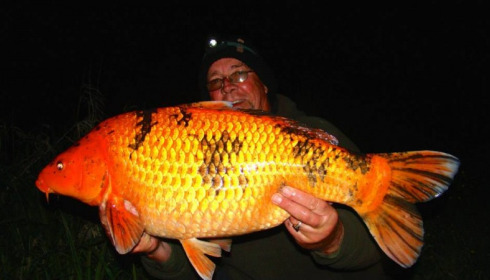A carp from Jonchery 7, Stuart & John Payne, May 2014