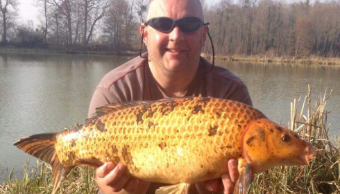 A carp from Jonchery 7, Mar 2015
