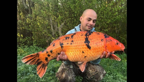 A carp from Jonchery 7, Apr 2017